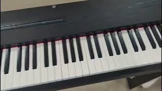 How To Install Glarry GDP104 88Key Digital Piano [upl. by Eldwen560]