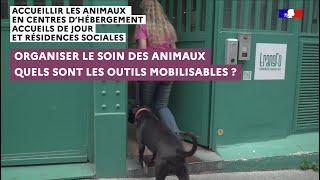 Quels sont les outils mobilisables pour accueillir les animaux en structures pour personnes à la rue [upl. by Chiou]