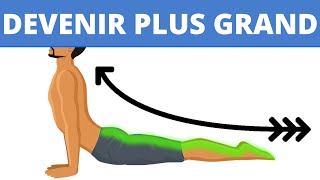 5 exercices détirement importants qui vous aideront a grandir [upl. by Asilat899]