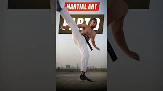 Part 9 Stamina Drills😰 stamina martialartstraining training youtubeshorts martialartsforlife [upl. by Emoraj]