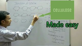 Polysaccharides structure  Cellulose [upl. by Kemppe]