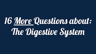 Digestive System Identification Quiz  Part 2 [upl. by Oconnor]