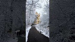 The wonderful Hohenschwangau Castle in Germany 🏰 [upl. by Kitty]