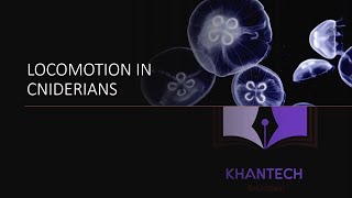 Biology  Phylum Cnidaria  Locomotion in Cnidarians [upl. by Perreault230]