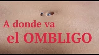 A donde va el ombligo [upl. by Saire156]