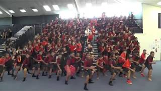 MI Haka Competition 2019 Rimu Whanau 1st Place [upl. by Winona601]