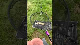 Pike fishing the river Wychwood Agitator setup fishing pikefishing lurefishing [upl. by Gui]