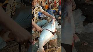 Amazing 30KG Giant Pangas Fish Cutting By Expert Fish Cutter In Bangladesh  shorts fishing fish [upl. by Enahc]