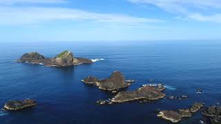 CRAYFISHING ON THE WESTCOAST OF TASMANIA TOP OF HIGH ROCKY BY DRONE [upl. by Finer]