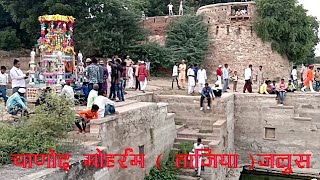 चाणोद मुहर्रम जुलस muharram 2018 chanoud garh [upl. by Zzabahs]