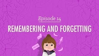 Remembering and Forgetting Crash Course Psychology 14 [upl. by Yebot174]