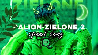 PALIONZIELONE 2SPEED SONG [upl. by Harutek]