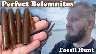 Belemnites personal record broken Fossil Hunting [upl. by Pascal262]