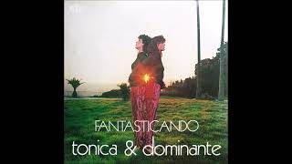 Tonica amp Dominante – Amanti Noi [upl. by Merrow226]