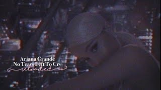 Ariana Grande  No Tears Left To Cry Reloaded [upl. by Ina]