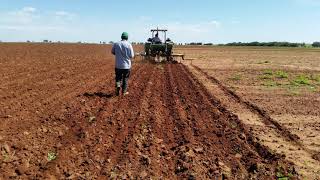 FRIJOL  CASO DE ÉXITO PROGRAMA NUTRICIONAL ORO Y DIAMANTE  ZACATECAS [upl. by Bouchard]