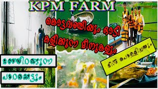 KPM FISH FARMfish fog aquarium vagamon vagamonhills tourist bonsai coracleride japanesekoi [upl. by Bokaj]