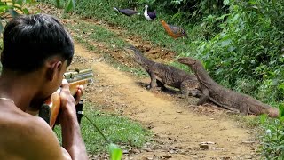 BERBURU BIAWAK BESAR KEBAL amp BURUNG SAWAH  PUYUH HUTAN [upl. by Zerk]