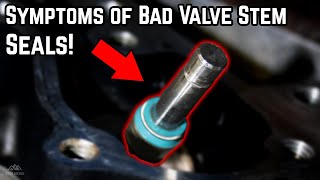 Signs amp Symptoms of Bad Valve Stem Seals [upl. by Gerry531]