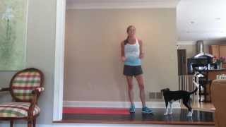 7 MINUTE HIT WORKOUT [upl. by Grefe]