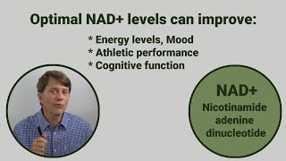 NMN vs NR vs Nicotinamide vs NA Which one to increase NAD muscle strength energy and skin health [upl. by Adaran]