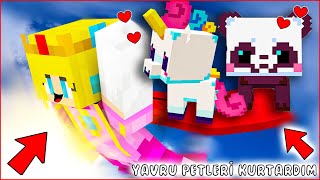 👶🏼 YUMURTADAN ÇIKAN YAVRU HAYVANLARA BAKTIM 😍  MİNECRAFT HİKAYE 🥰 [upl. by Jelsma144]