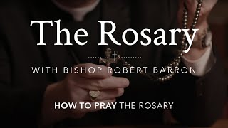 How to Pray the Rosary with Bishop Barron [upl. by Danya]