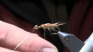 Fly Tying Lesson  Golden Stonefly Nymph Part 1 [upl. by Gruver]