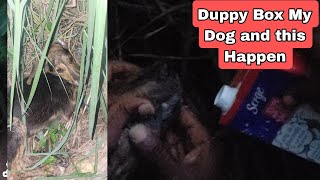 Obeah Man Sen duppy and it box my Dog [upl. by Averir311]