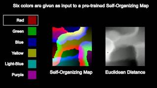 SelfOrganizing Map  Euclidean Distance Estimation python [upl. by Ailecec]