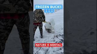 Buck FROZEN in ICE 🥶 🧊 Nature is Mental [upl. by Alsworth]