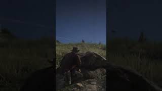 Red Dead Redemption 2 Hay que ser sigiloso con los O´driscolls [upl. by Ehr]