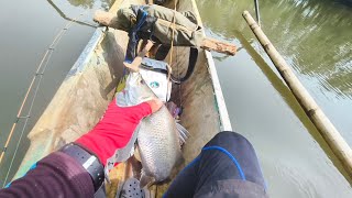 Catching Nucturnal Predator Fish from Murkey Lowtide Waters  Boss Leo [upl. by Dailey]