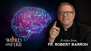 Bishop Barron on Conscience and Morality [upl. by Assej]