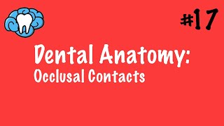 Dental Anatomy  Occlusal Contacts  INBDE [upl. by Zackariah]