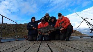 Guided Fishing Norway the hunt for Halibut from the shore [upl. by Hnim]