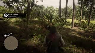 Killing the legendary Giaguaro panther rdr2 [upl. by Dzoba]