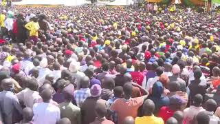 KERICHO SENATOR AARON CHERUIYOT ROASTING RUTO CRITICS LIKE NOBODYS BUSINESS [upl. by Roel729]