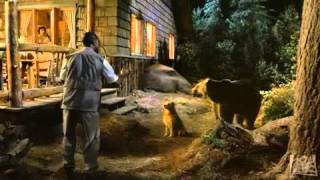 Dr Dolittle 2 2001  trailer [upl. by Ennovoj798]