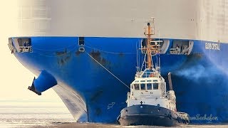 Autotransporter GLOVIS CRYSTAL amp Schlepper car carrier amp tugs V7JT4 IMO 9707003 [upl. by Leilamag164]