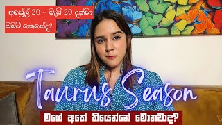 අප්‍රේල් 20  මැයි 20 තෙක් ඔබට Taurus Season Intuitive Tarot Card Reading Sinhala [upl. by Cockburn]