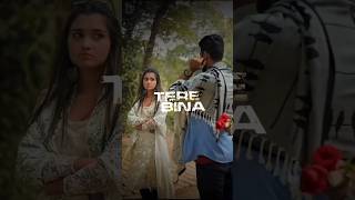 Tere bina jeena saza ho gaya Ve sanu song Tere bina jeena lyrics status status lyericsstatus [upl. by Mansoor]