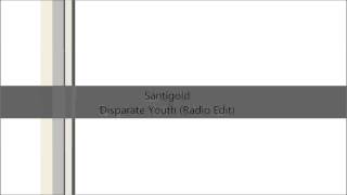 Santigold  Disparate Youth Radio Edit [upl. by Annayak]