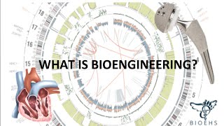 What is Bioengineering  BioEHS [upl. by Zimmermann129]