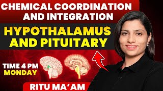 Hypothalamus and Pituitary  Chemical Coordination and Integration Detailed class  Ritu Rattewal [upl. by Lubba644]