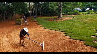 Royal Zoysia Fine Blade Sod Installation [upl. by Novihs934]