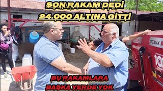 2024 KURBANLIKPAZARLIĞI SON DAKİKA TABAN FİYATLARIN ALTINDA SATILIYOR keşfetbeniöneçıkar keşfet [upl. by Ynnavoj]