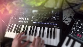 Korg Wavestate  No talking just playing my soundpack quotCINEMATICquot [upl. by Ravilob933]