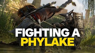 Assassins Creed Origins  Fighting A Phylake in 4K [upl. by Eniksre169]