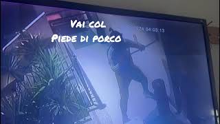 Video raid tabacchi Camerlingo [upl. by Colton]